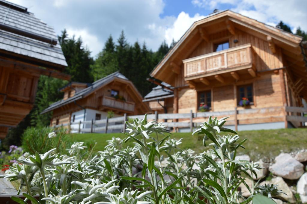 Hotel Bergdorf Riesner Donnersbachwald Exterior foto